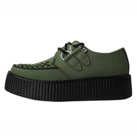 Spiked creepers 2025